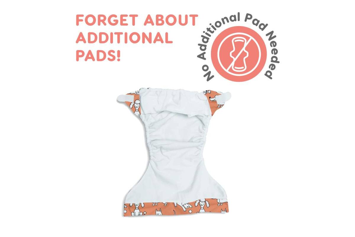 Misoko Washable Adjustable Male Dog Diapers with Paw Prints – Kika